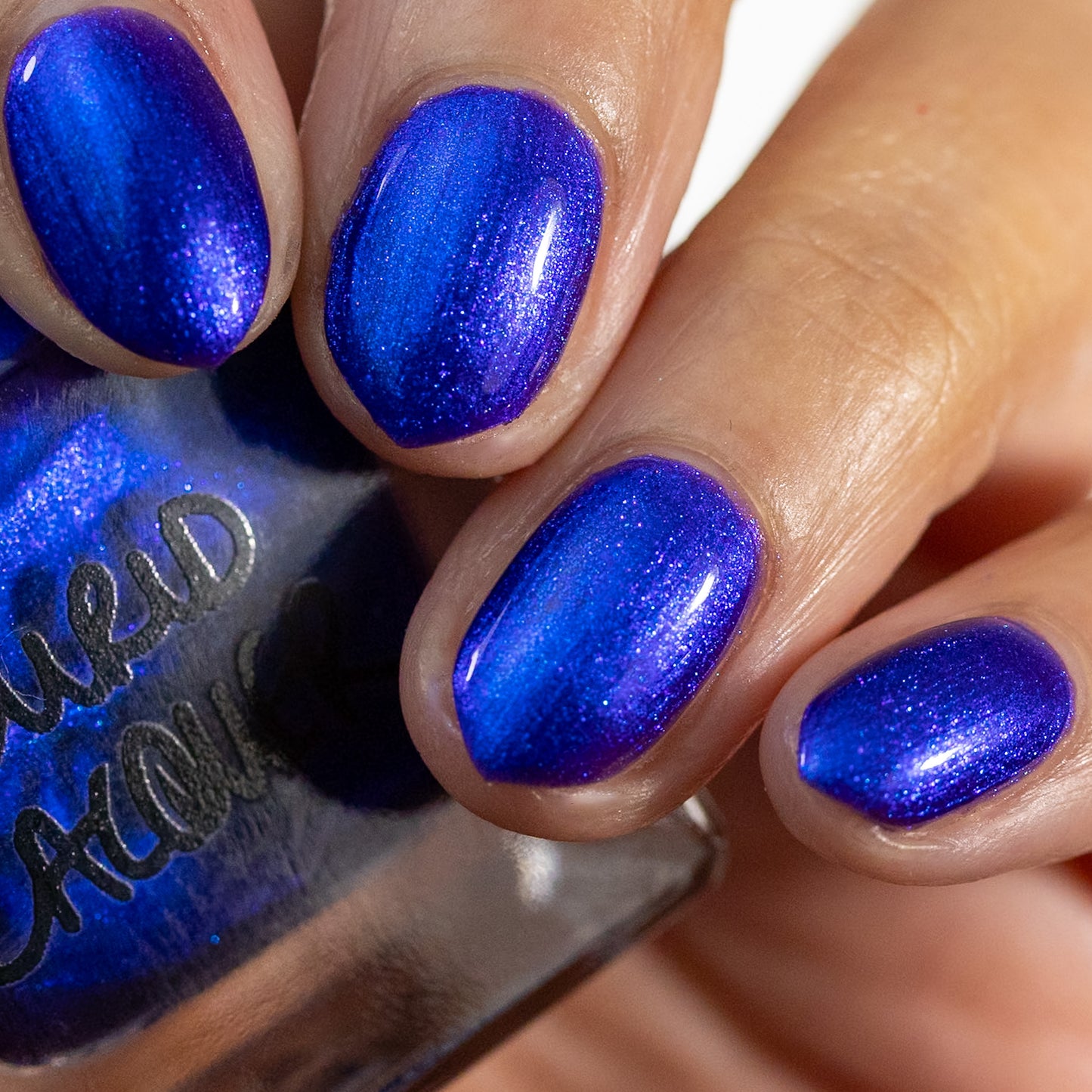 Blue Wild Indigo (PBE Exclusive--Limited Edition)