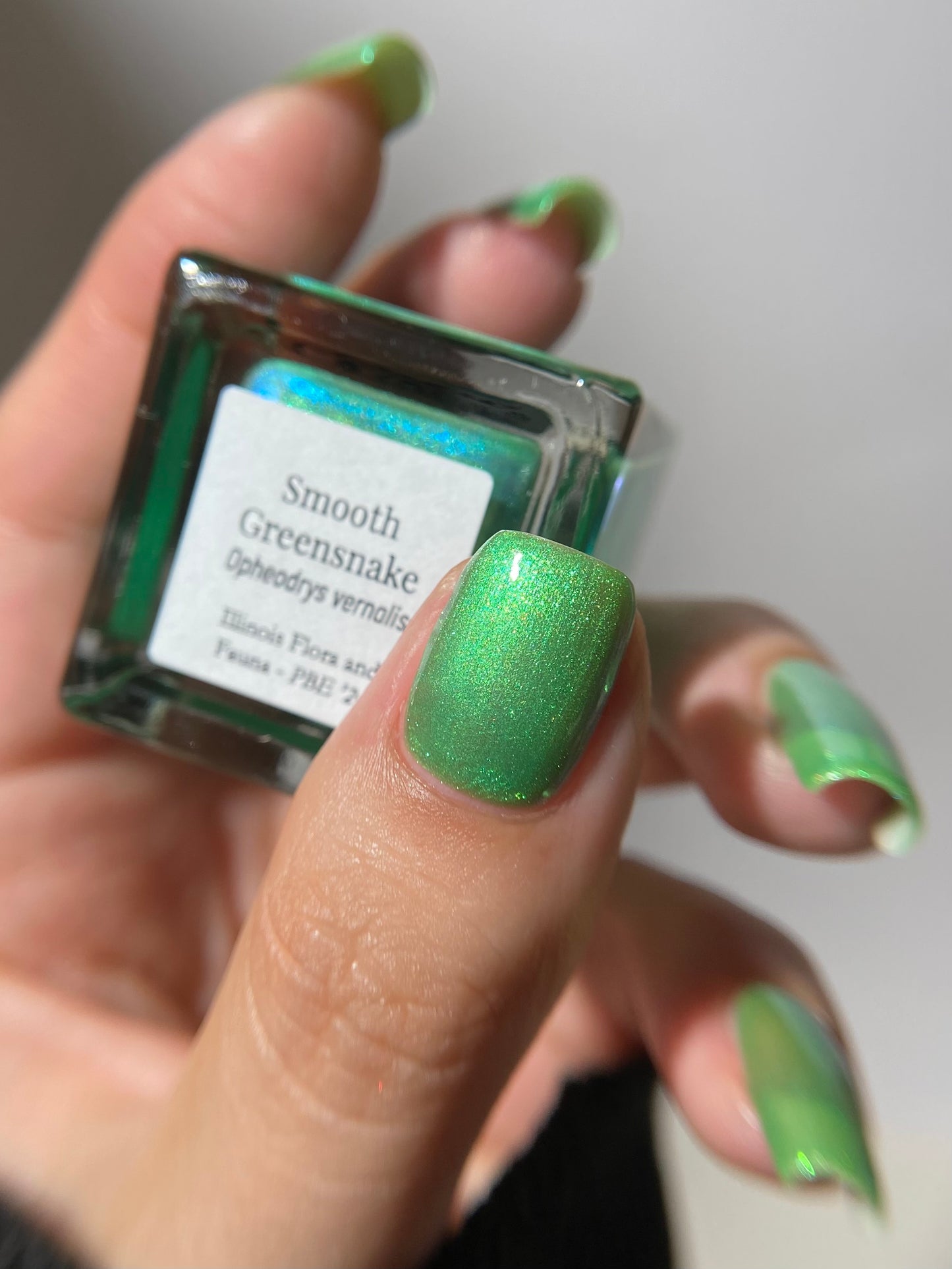 Smooth Greensnake (PBE Exclusive--Limited Edition)