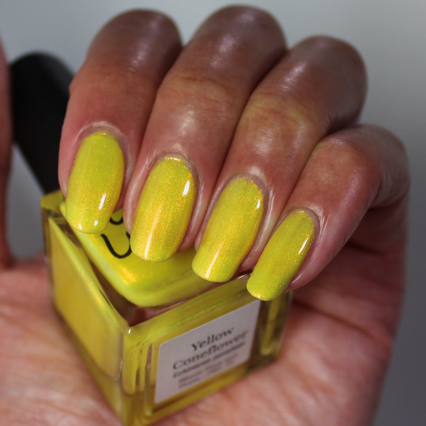 Yellow Coneflower (PBE Exclusive--Limtied Edition)