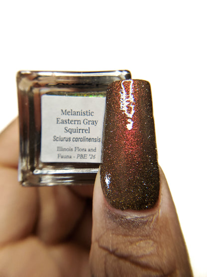 Melanistic Eastern Gray Squirrel (PBE Exclusive--Limited Edition)