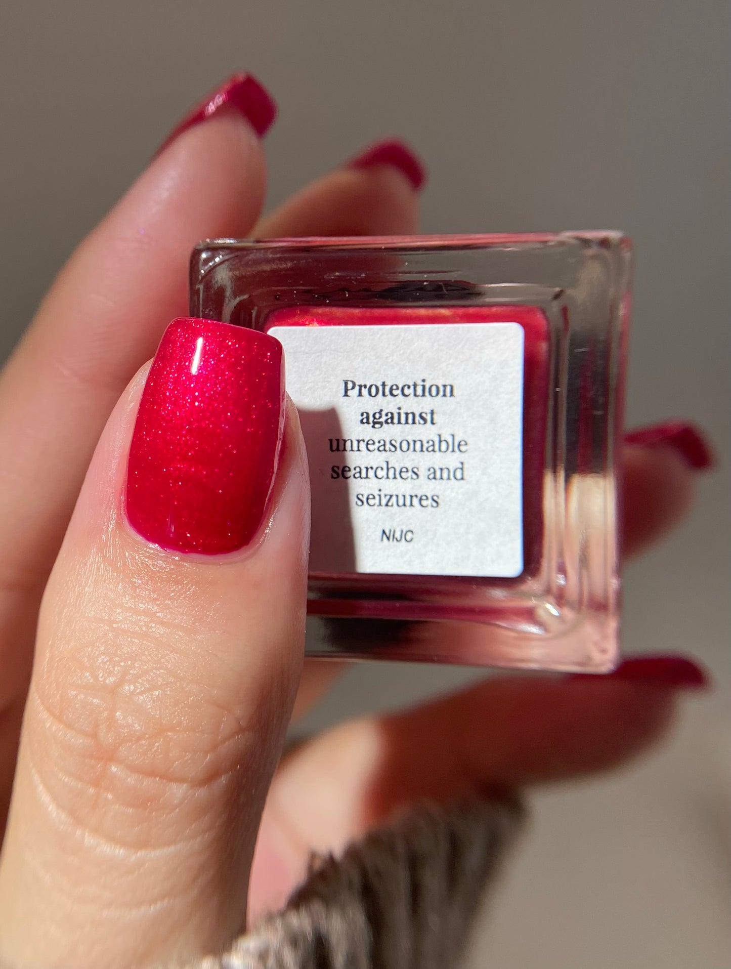 Protection Against Unreasonable Searches and Seizures