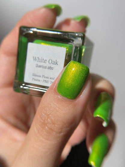 White Oak (PBE Exclusive--Limited Edition)