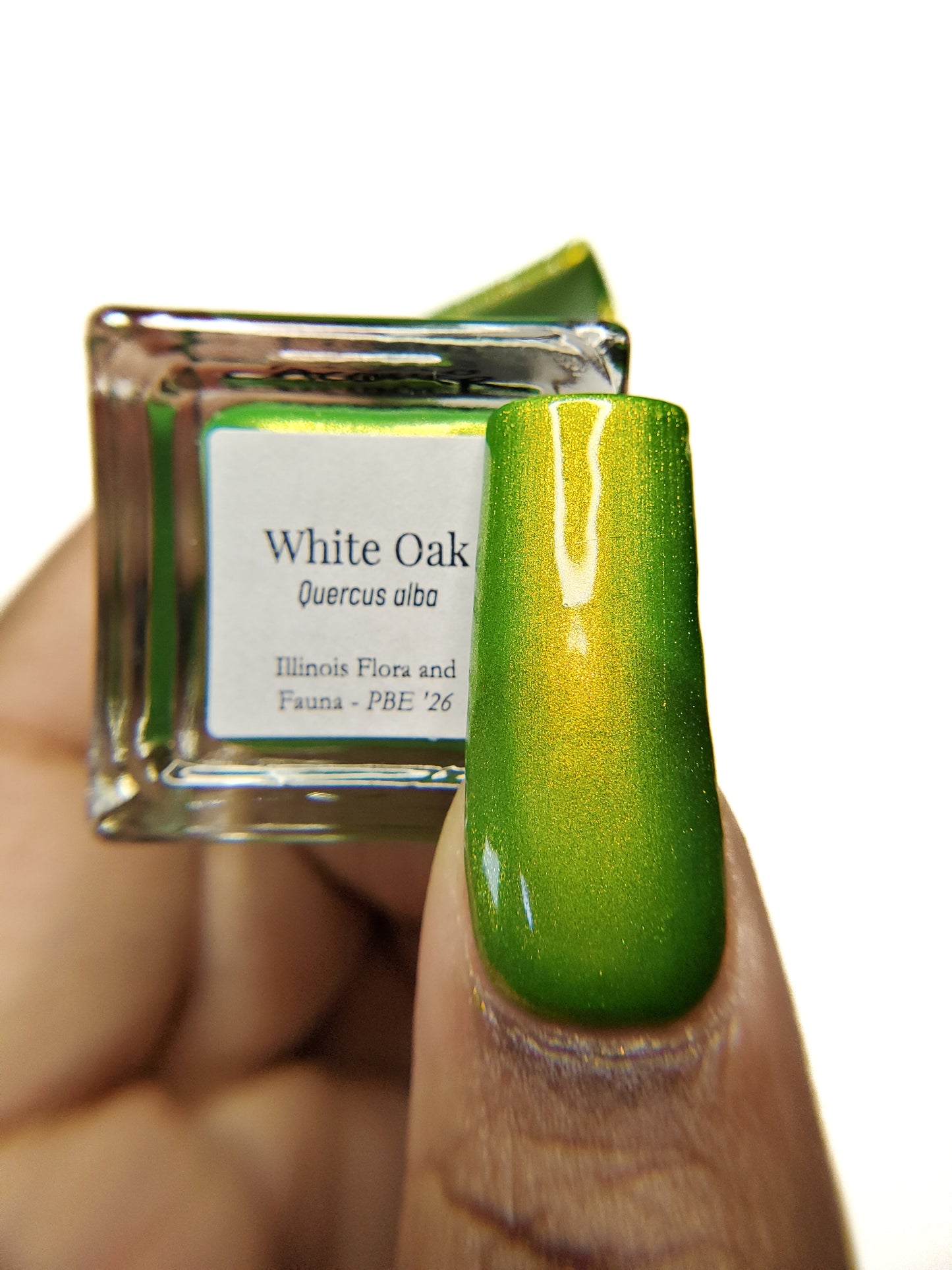 White Oak (PBE Exclusive--Limited Edition)