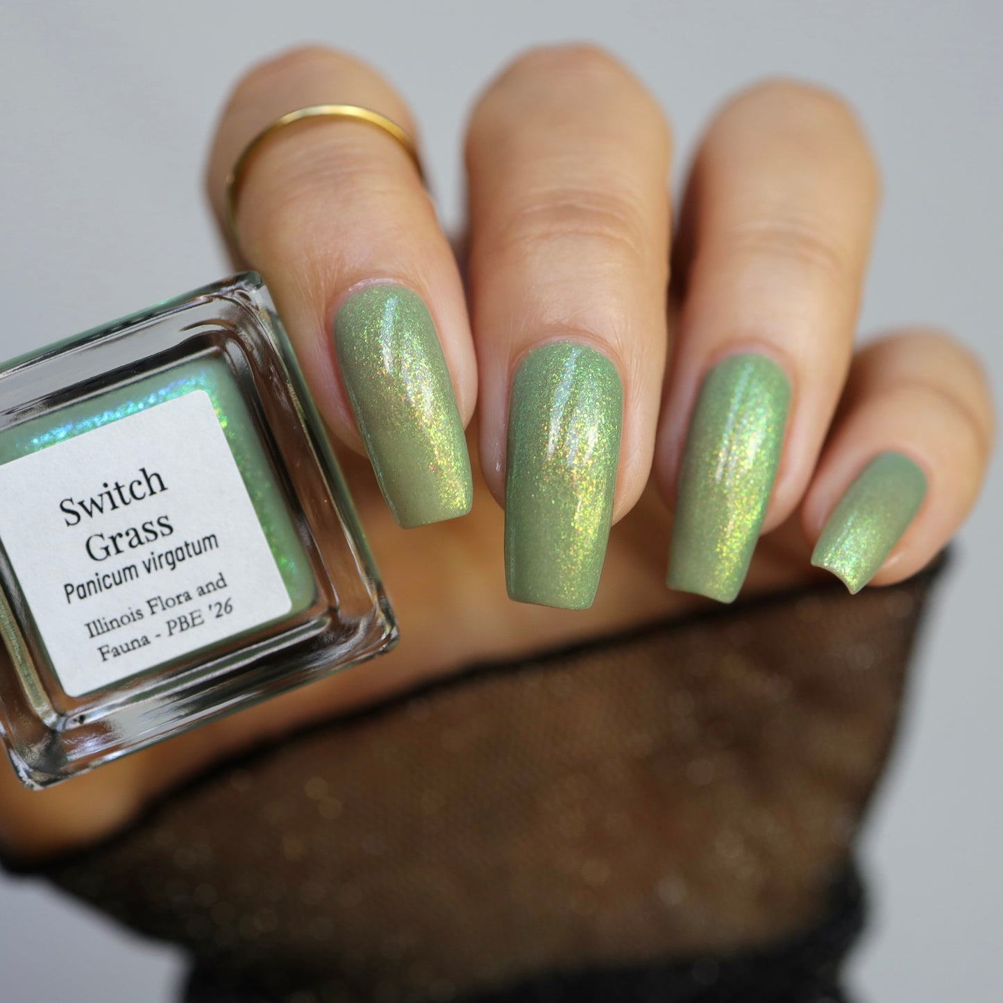 Switch Grass (PBE Exclusive--Limited Edition)