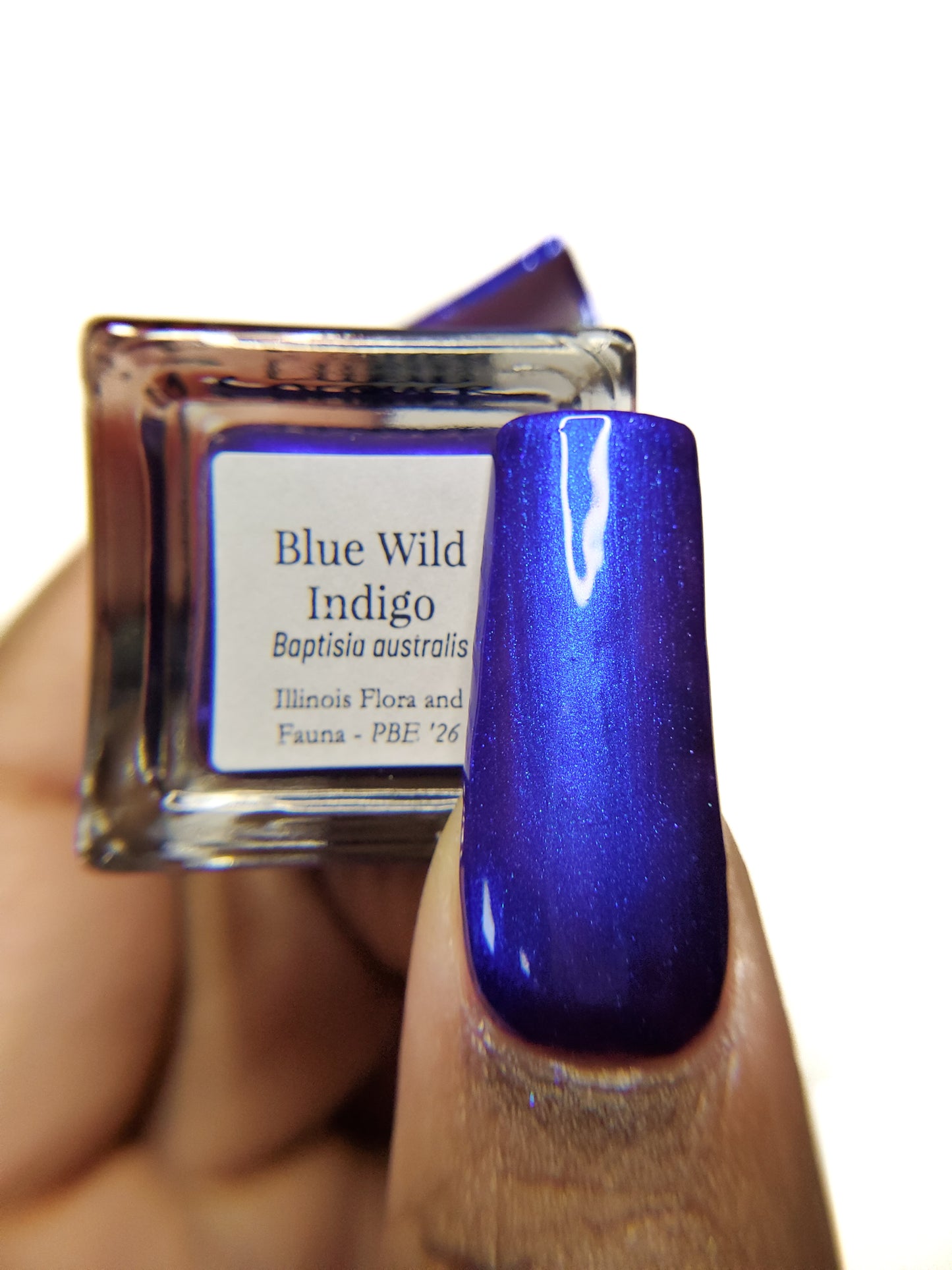 Blue Wild Indigo (PBE Exclusive--Limited Edition)