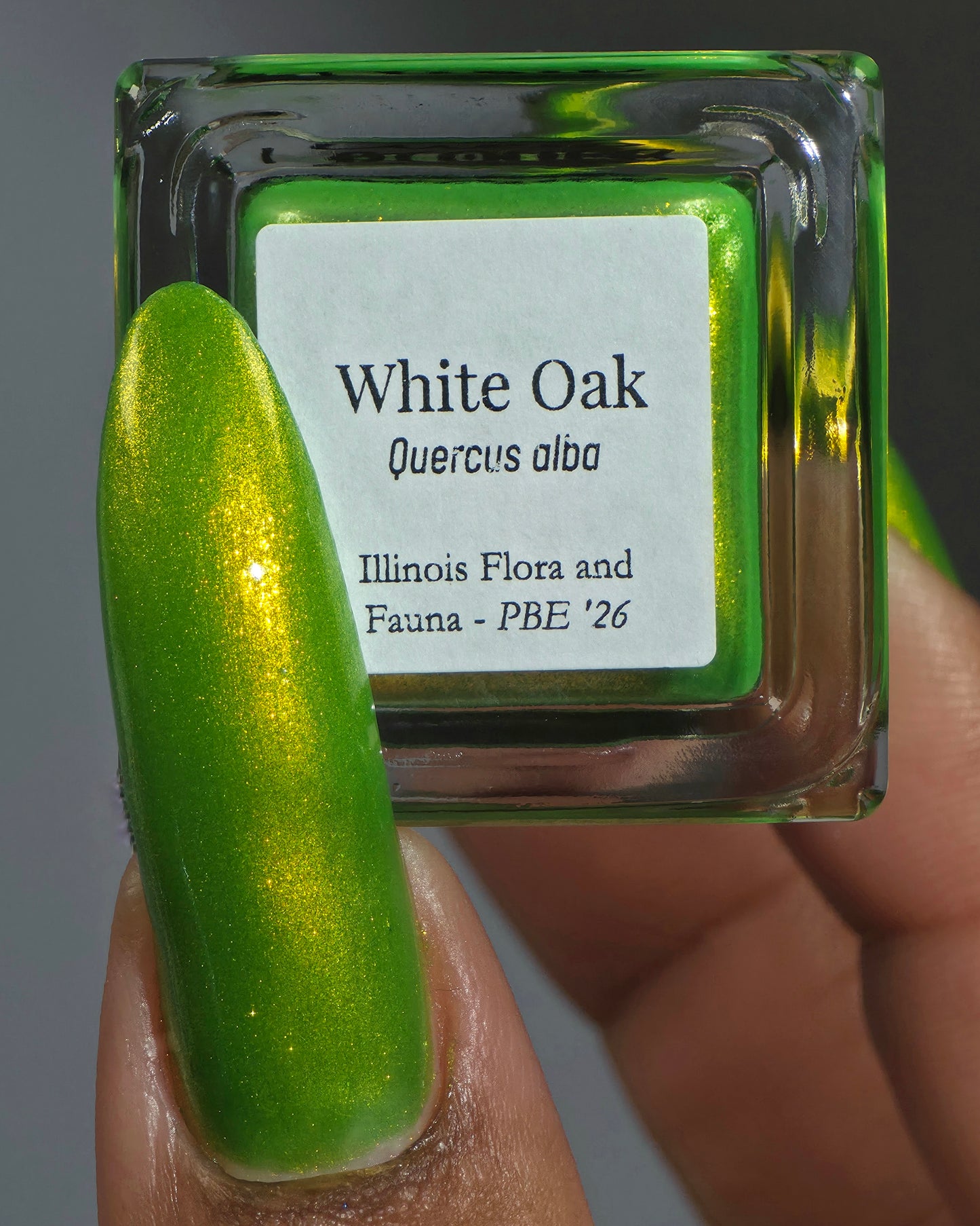 White Oak (PBE Exclusive--Limited Edition)