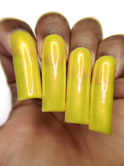 Yellow Coneflower (PBE Exclusive--Limtied Edition)