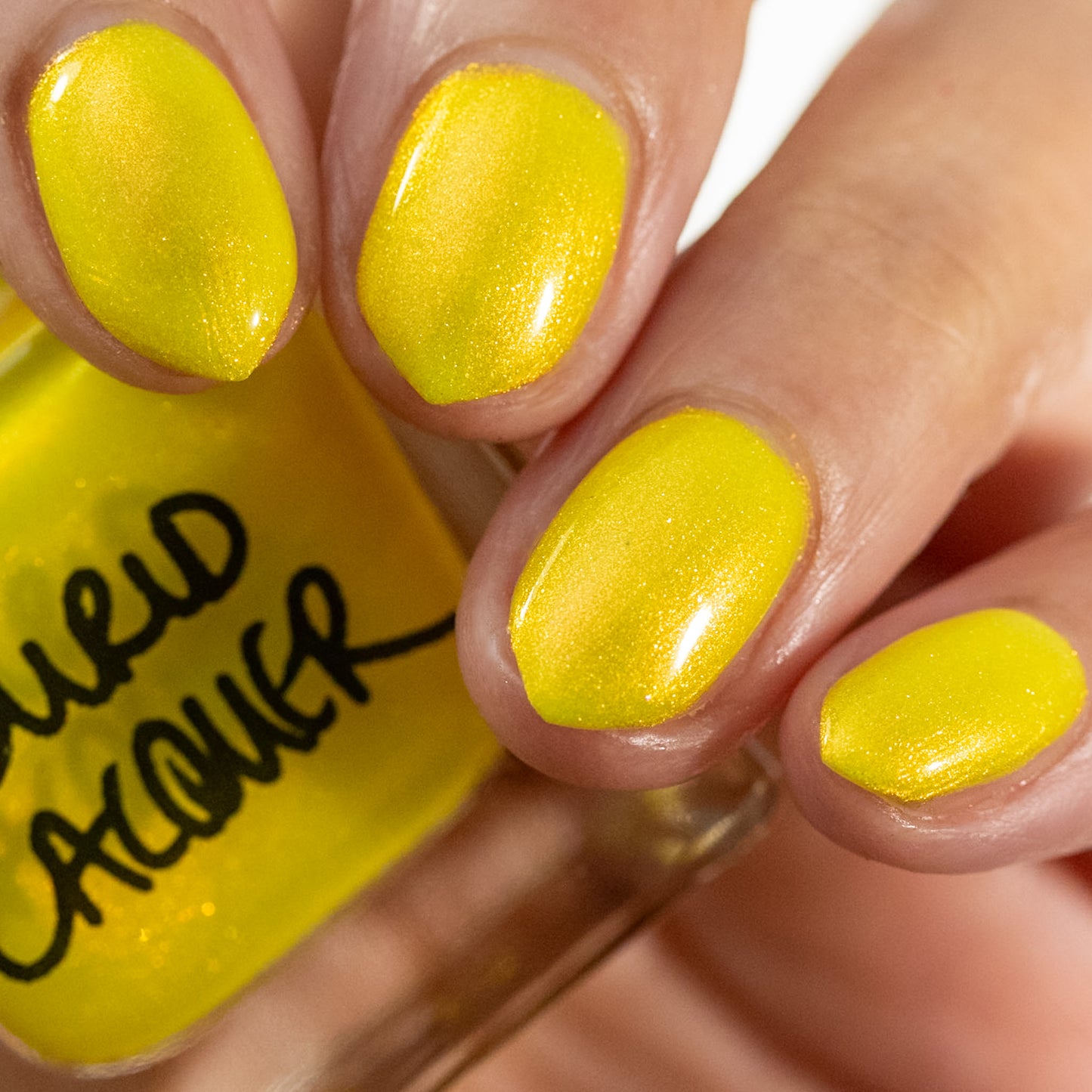Yellow Coneflower (PBE Exclusive--Limtied Edition)