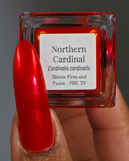 Northern Cardinal (PBE Exclusive--Limited Edition)