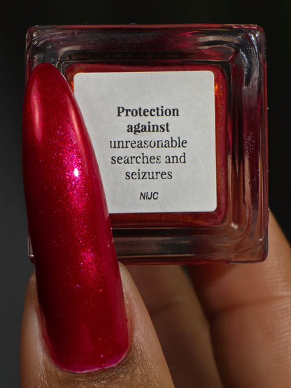 Protection Against Unreasonable Searches and Seizures