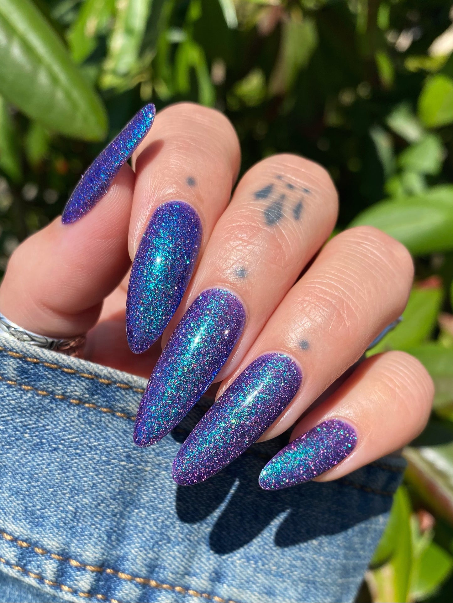A Fancy Lady