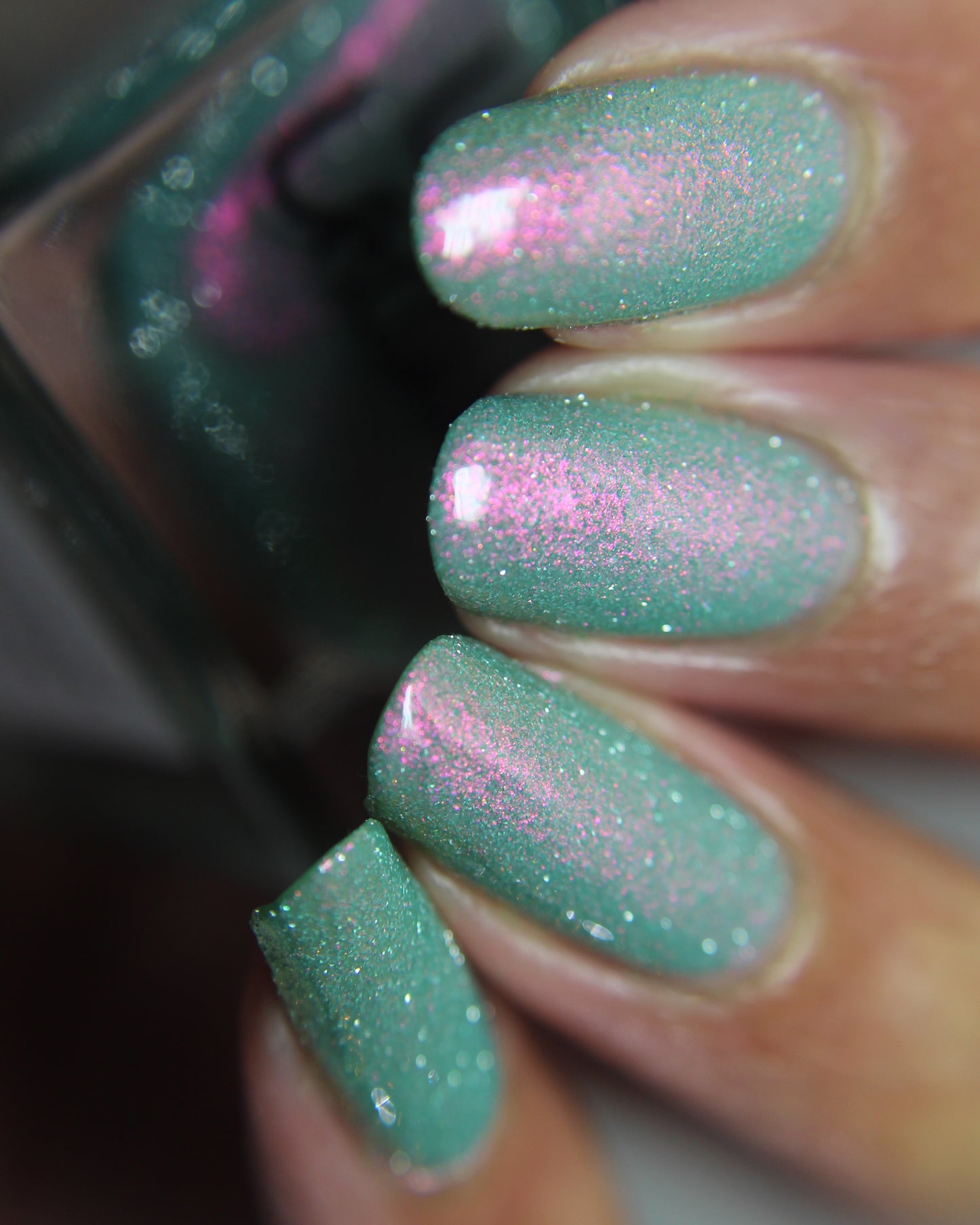 Ensconced by Blooms and Vines