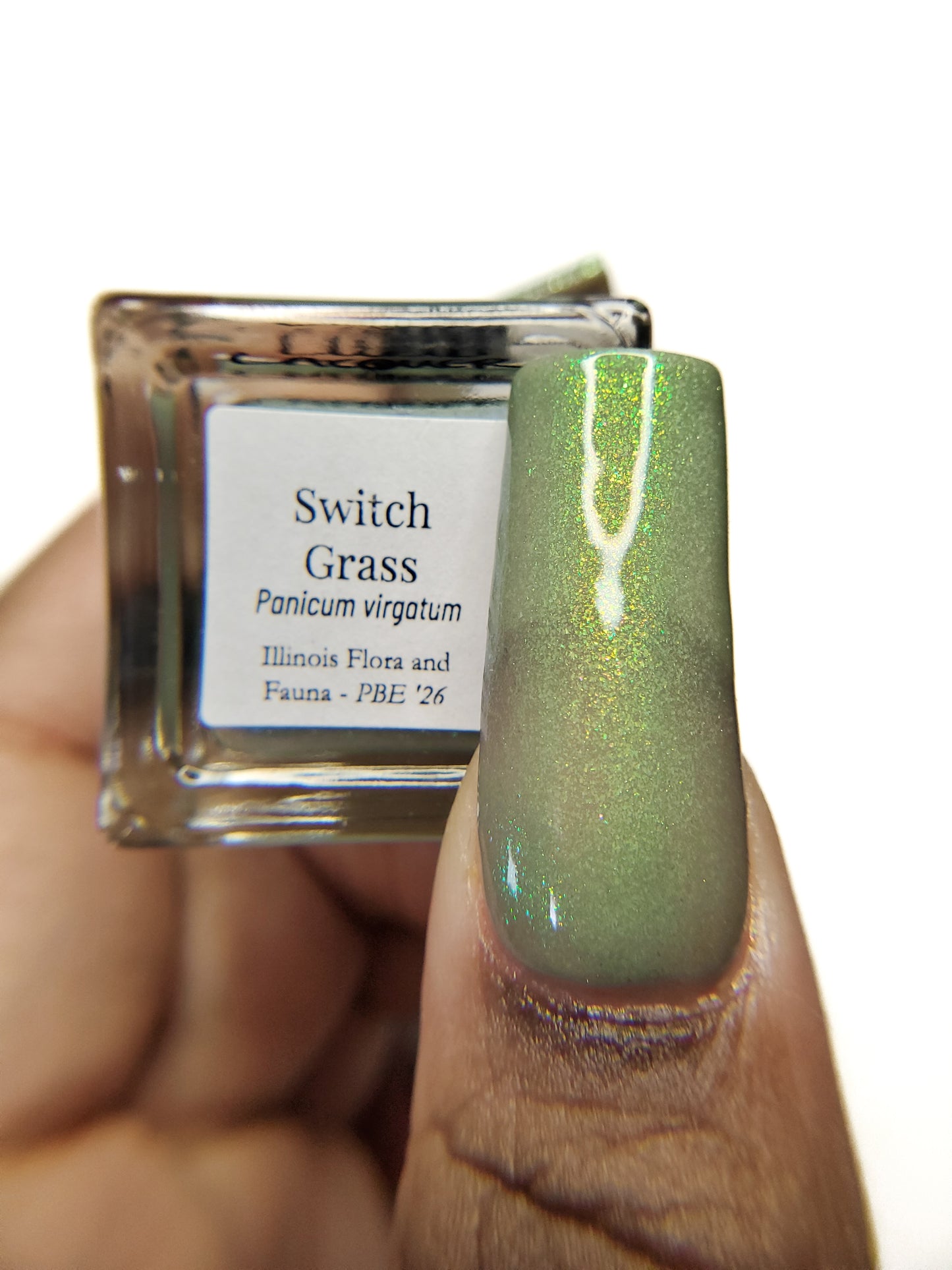 Switch Grass (PBE Exclusive--Limited Edition)
