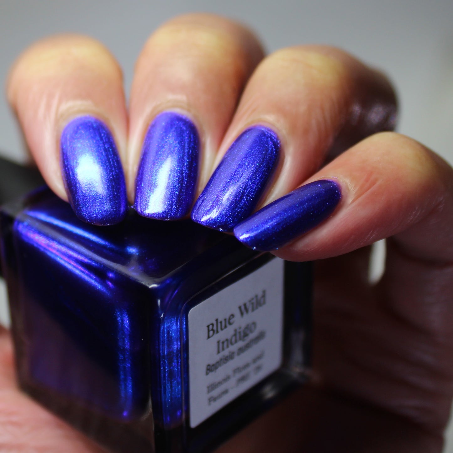Blue Wild Indigo (PBE Exclusive--Limited Edition)