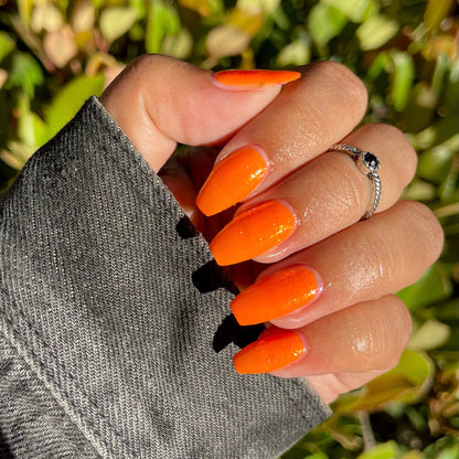 Hiya Pumpkin