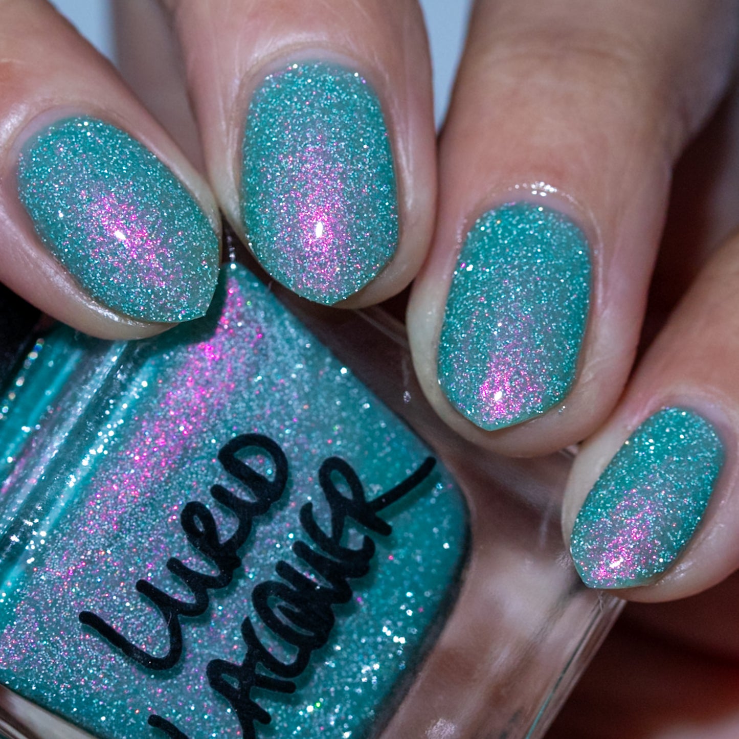 Ensconced by Blooms and Vines