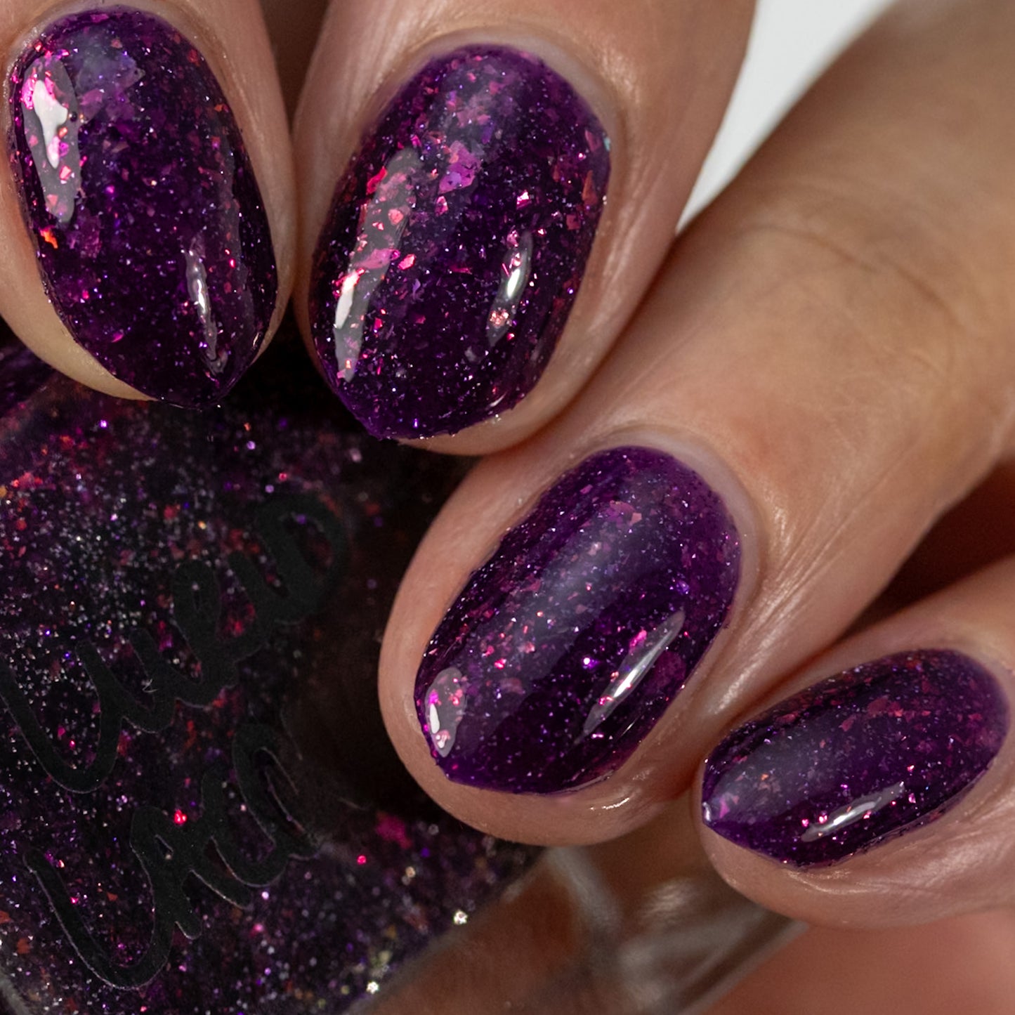 We Cloak Ourselves in Night