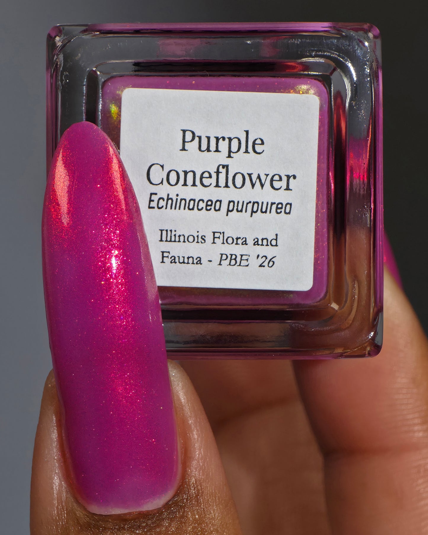 Purple Coneflower (PBE Exclusive--Limited Edition)