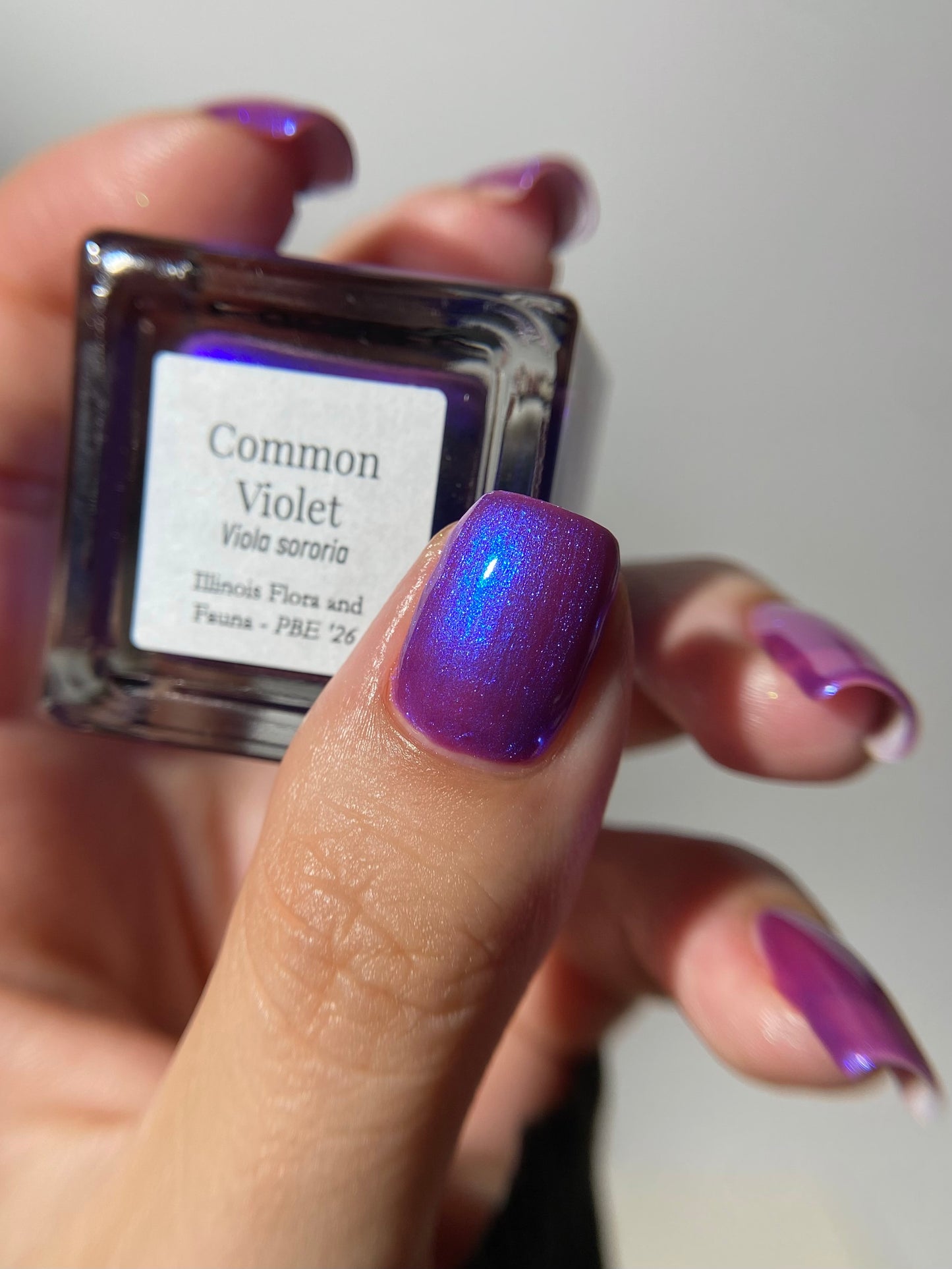 Common Violet (PBE Exclusive--Limited Edition)