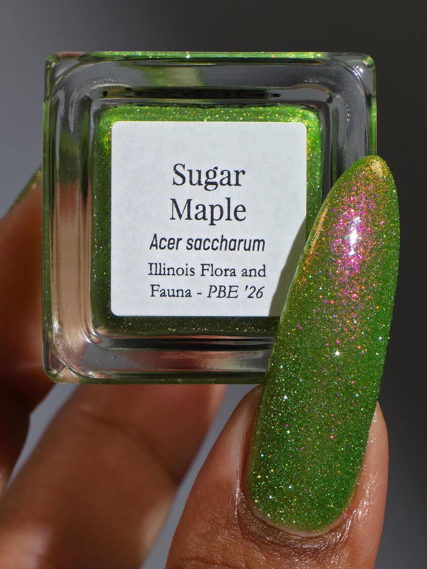 Sugar Maple (PBE Exclusive--Limited Edition)