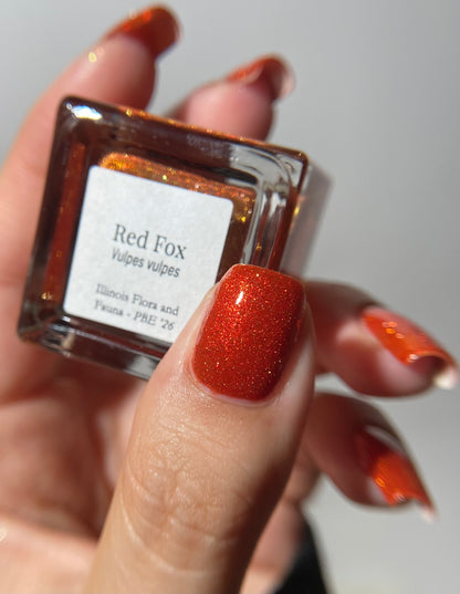 Red Fox (PBE Exclusive--Limited Edition)