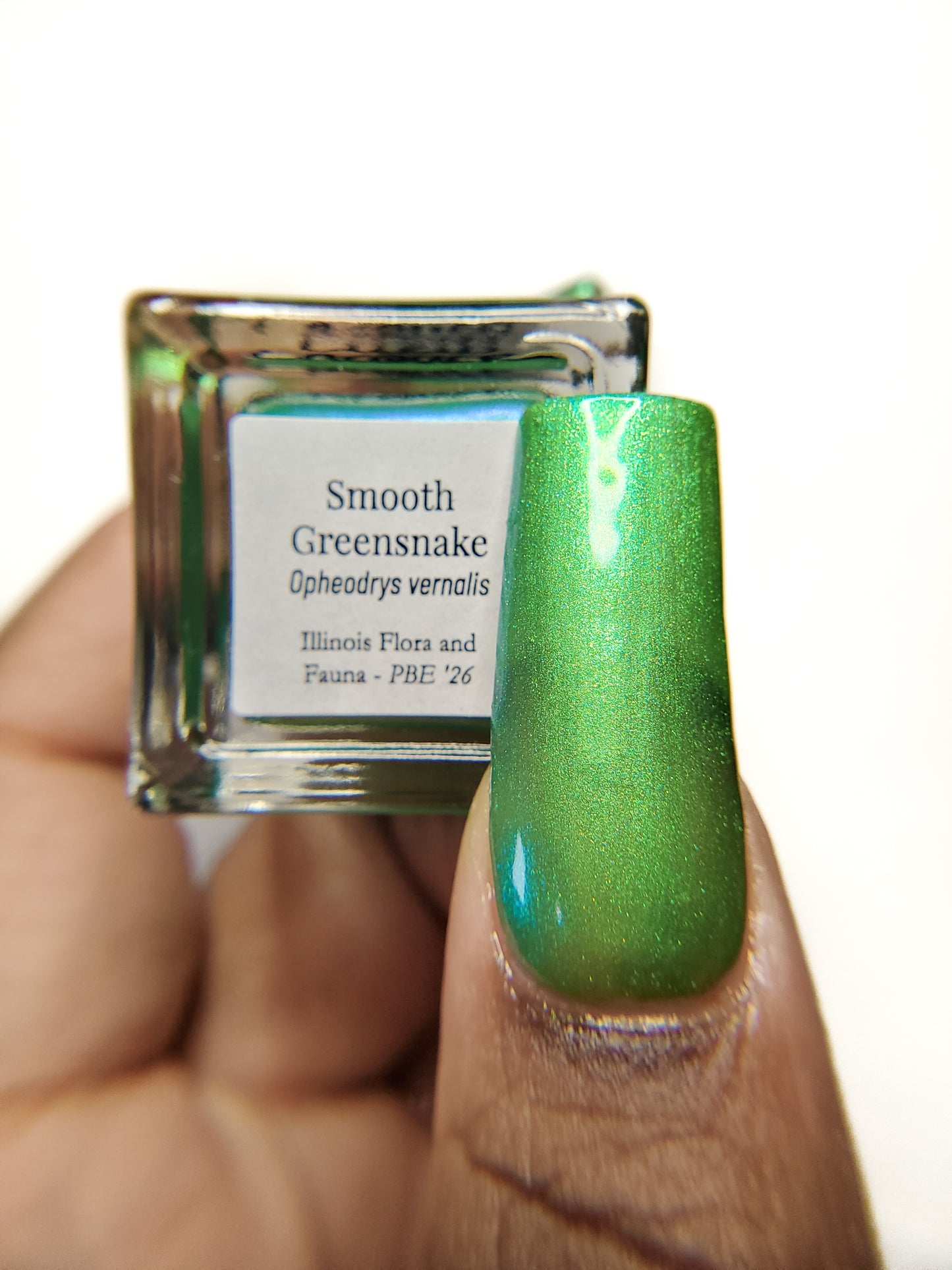 Smooth Greensnake (PBE Exclusive--Limited Edition)