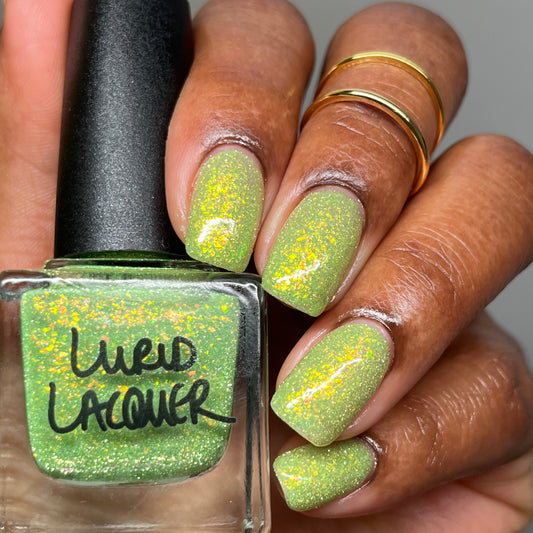 An Indoor Cat With Outdoor Dreams