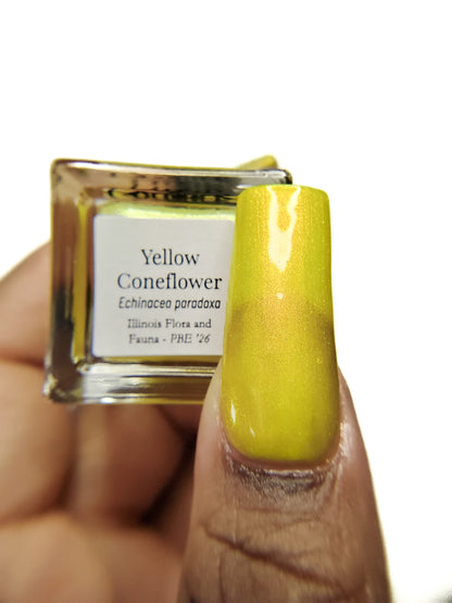 Yellow Coneflower (PBE Exclusive--Limtied Edition)