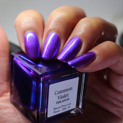 Common Violet (PBE Exclusive--Limited Edition)