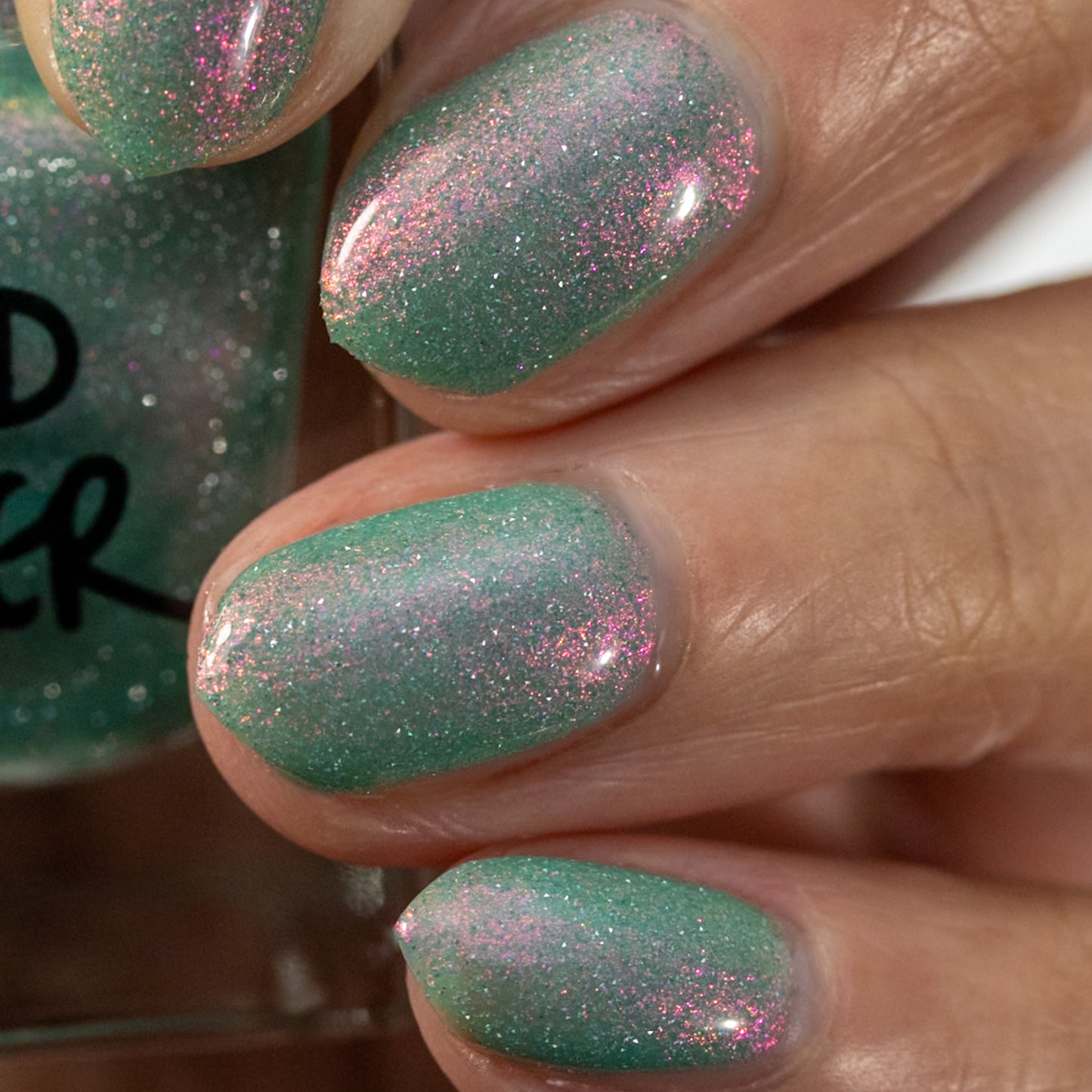 Ensconced by Blooms and Vines