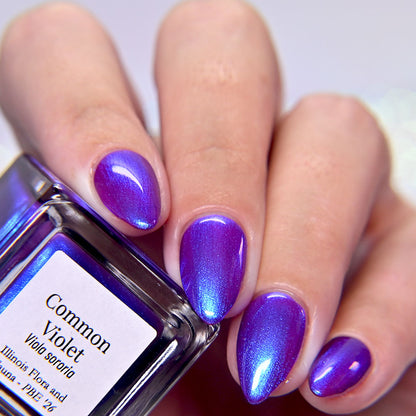 Common Violet (PBE Exclusive--Limited Edition)