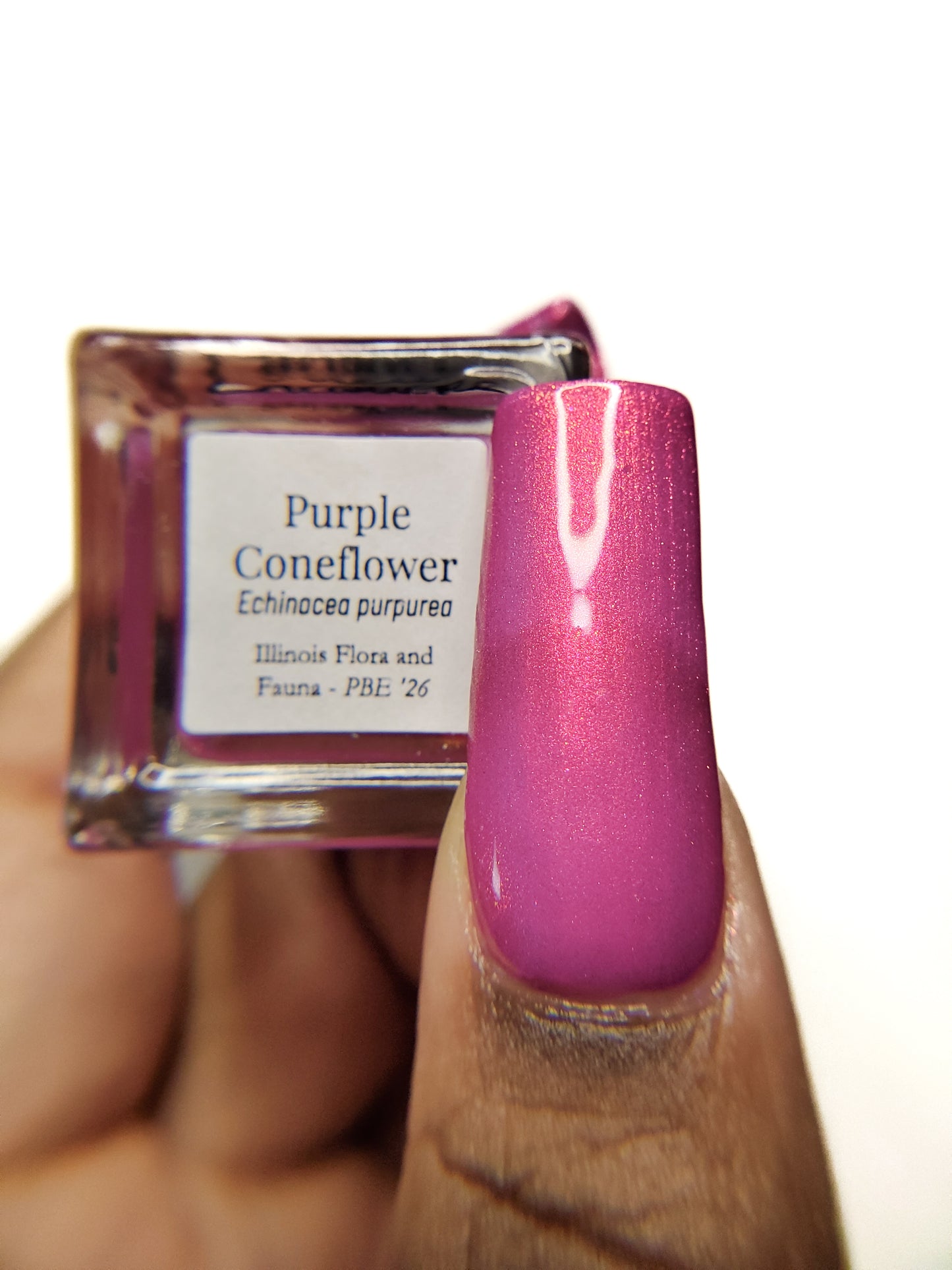 Purple Coneflower (PBE Exclusive--Limited Edition)