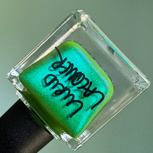 2026: Irony is Dead, but American Algae are Thriving