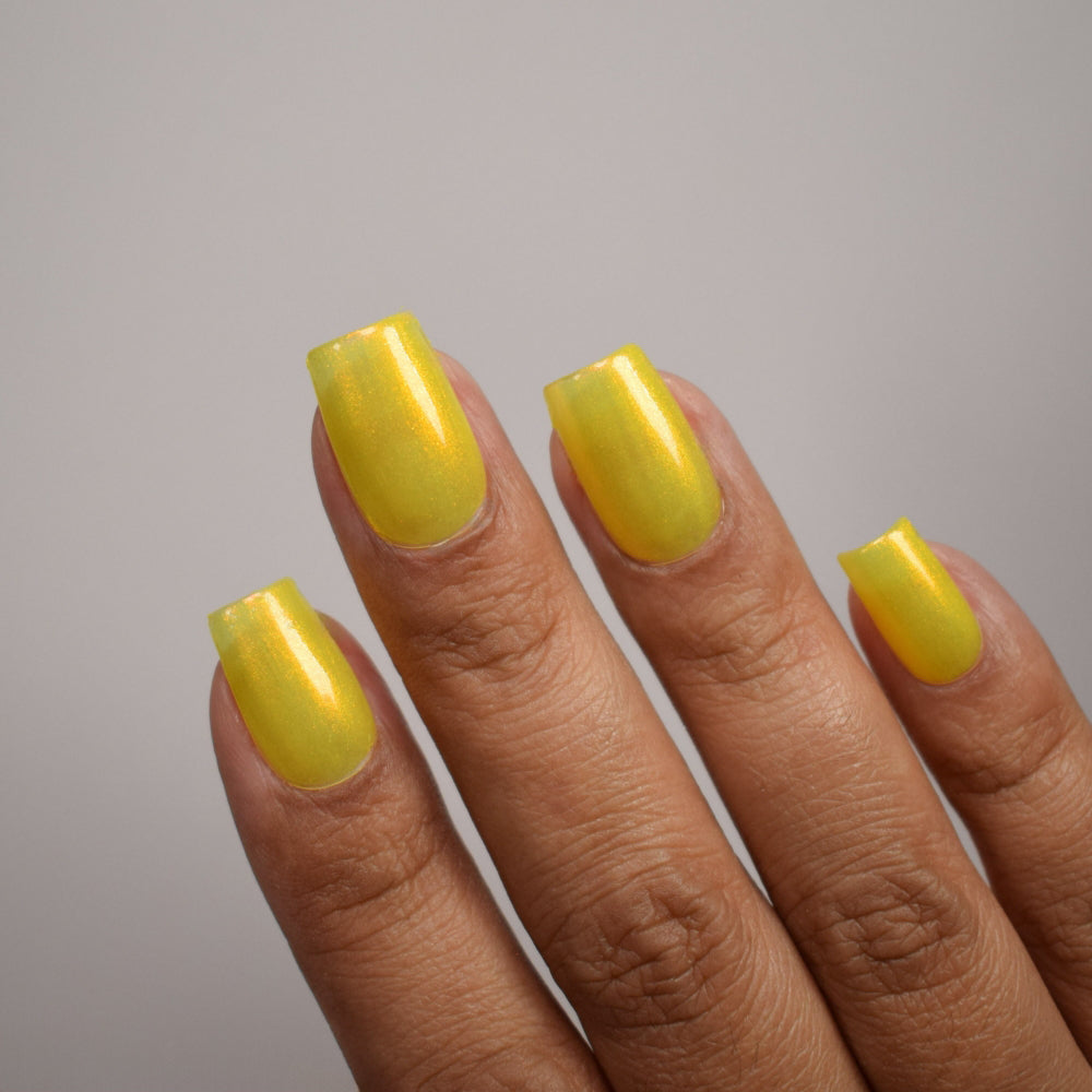 Yellow Coneflower (PBE Exclusive--Limtied Edition)