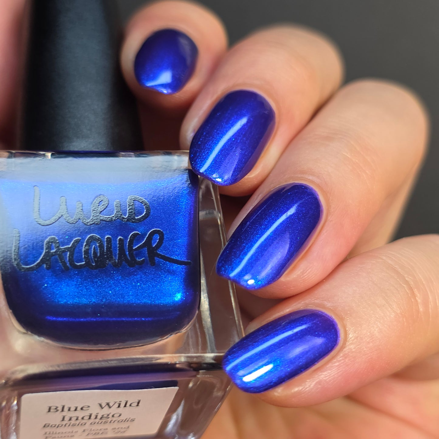 Blue Wild Indigo (PBE Exclusive--Limited Edition)