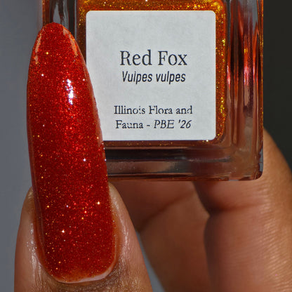 Red Fox (PBE Exclusive--Limited Edition)