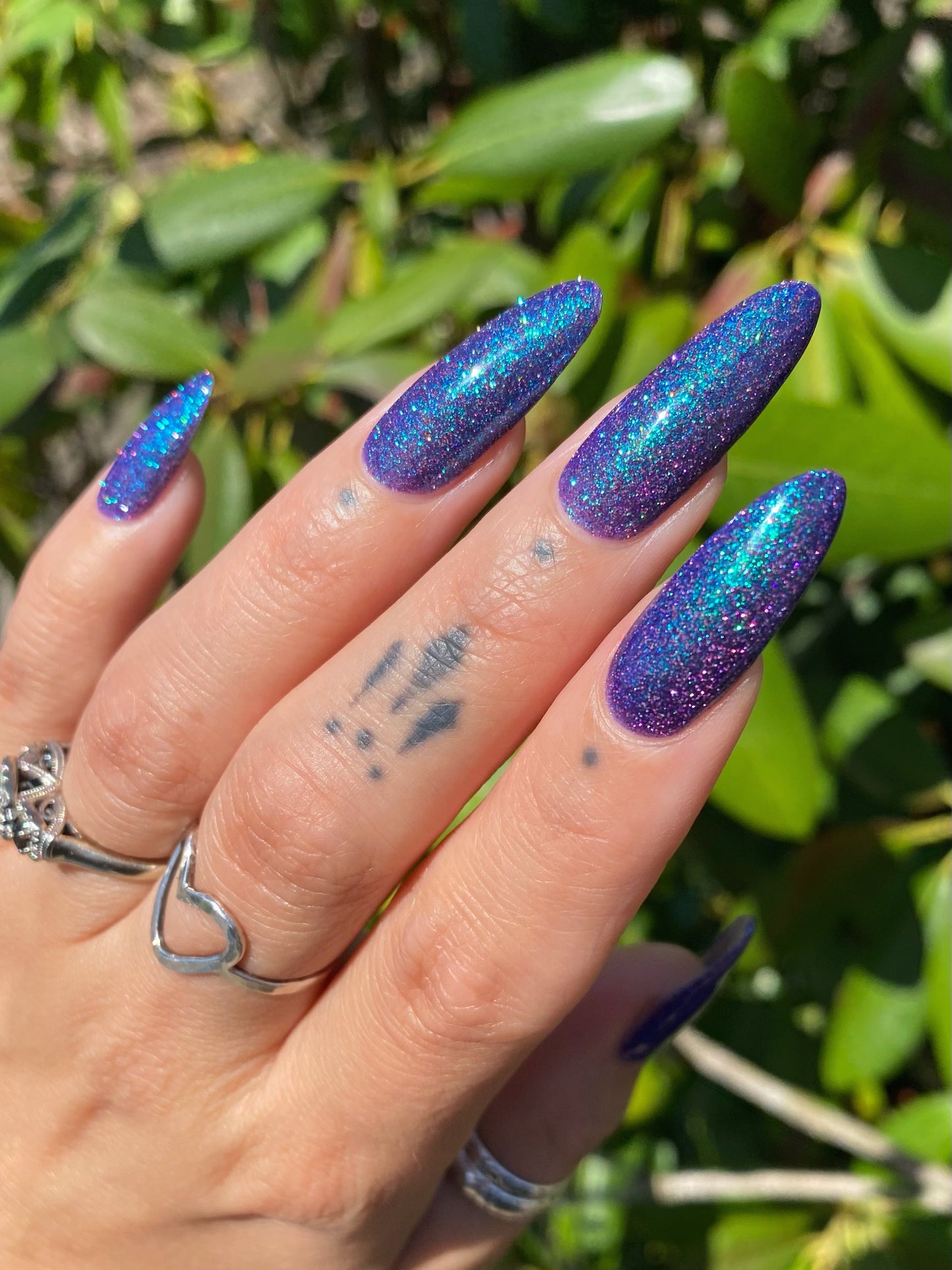 A Fancy Lady