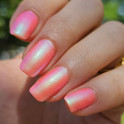 Sun Seeker