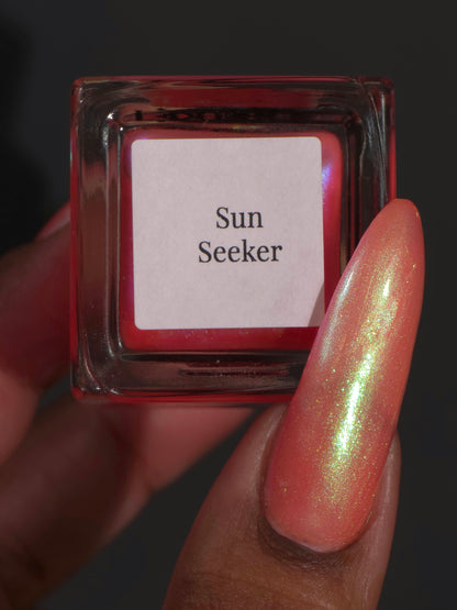 Sun Seeker