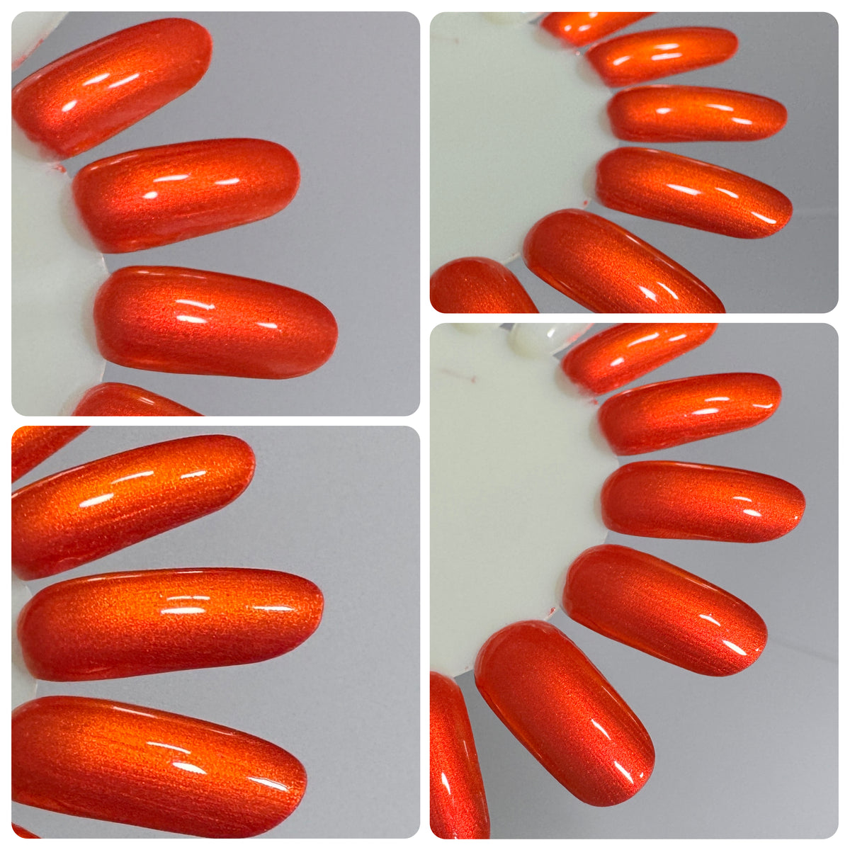 Tiger Lily