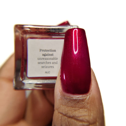 Protection Against Unreasonable Searches and Seizures