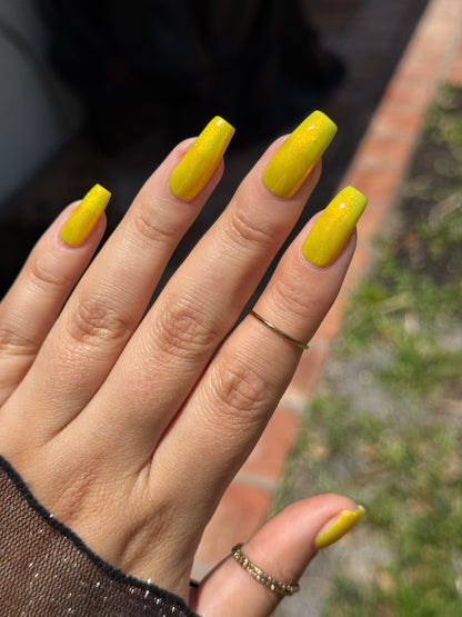 Yellow Coneflower (PBE Exclusive--Limtied Edition)
