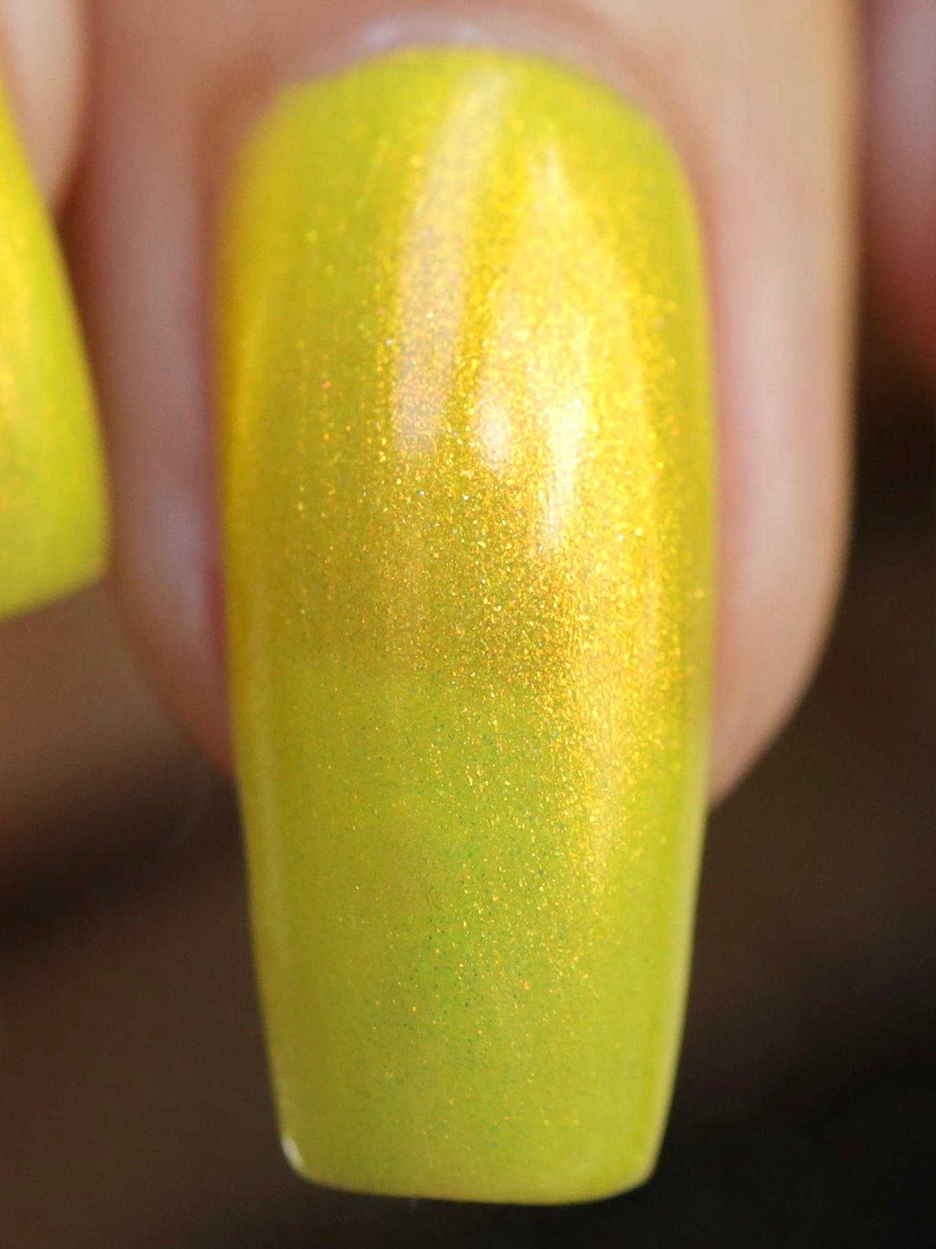 Yellow Coneflower (PBE Exclusive--Limtied Edition)