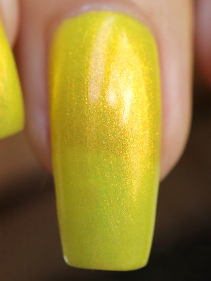 Yellow Coneflower (PBE Exclusive--Limtied Edition)