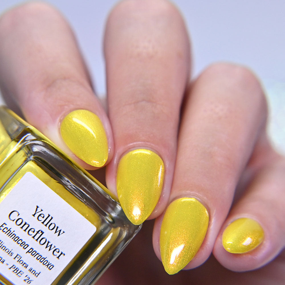 Yellow Coneflower (PBE Exclusive--Limtied Edition)