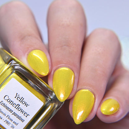 Yellow Coneflower (PBE Exclusive--Limtied Edition)