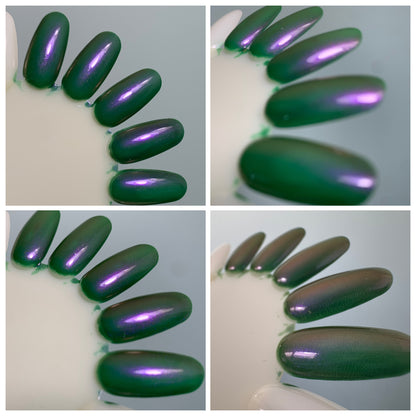 The First Whispers of Winter