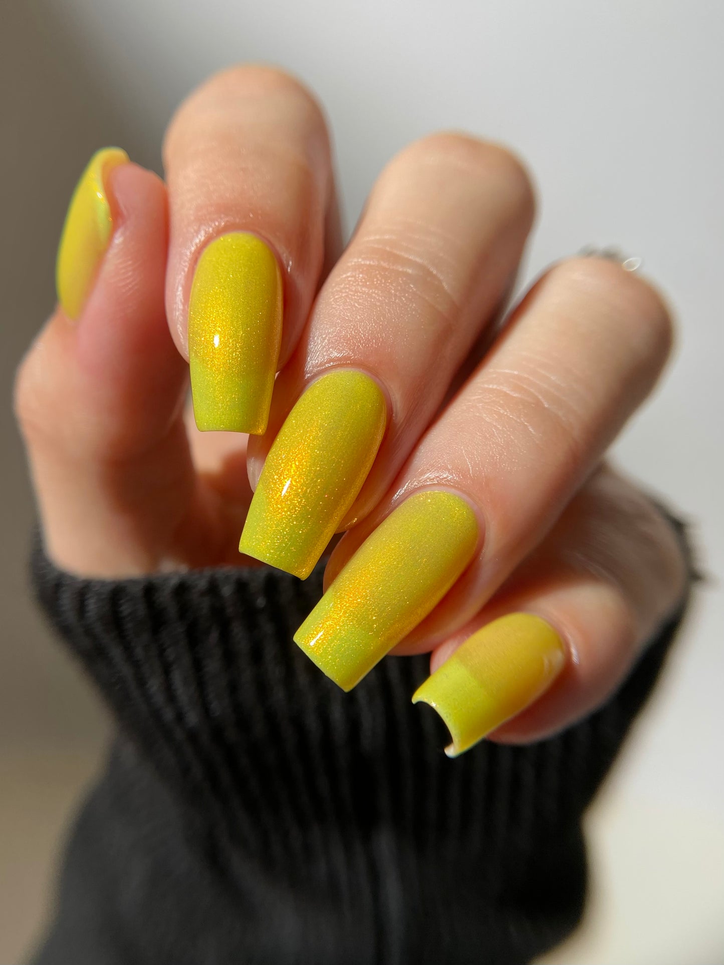 Yellow Coneflower (PBE Exclusive--Limtied Edition)