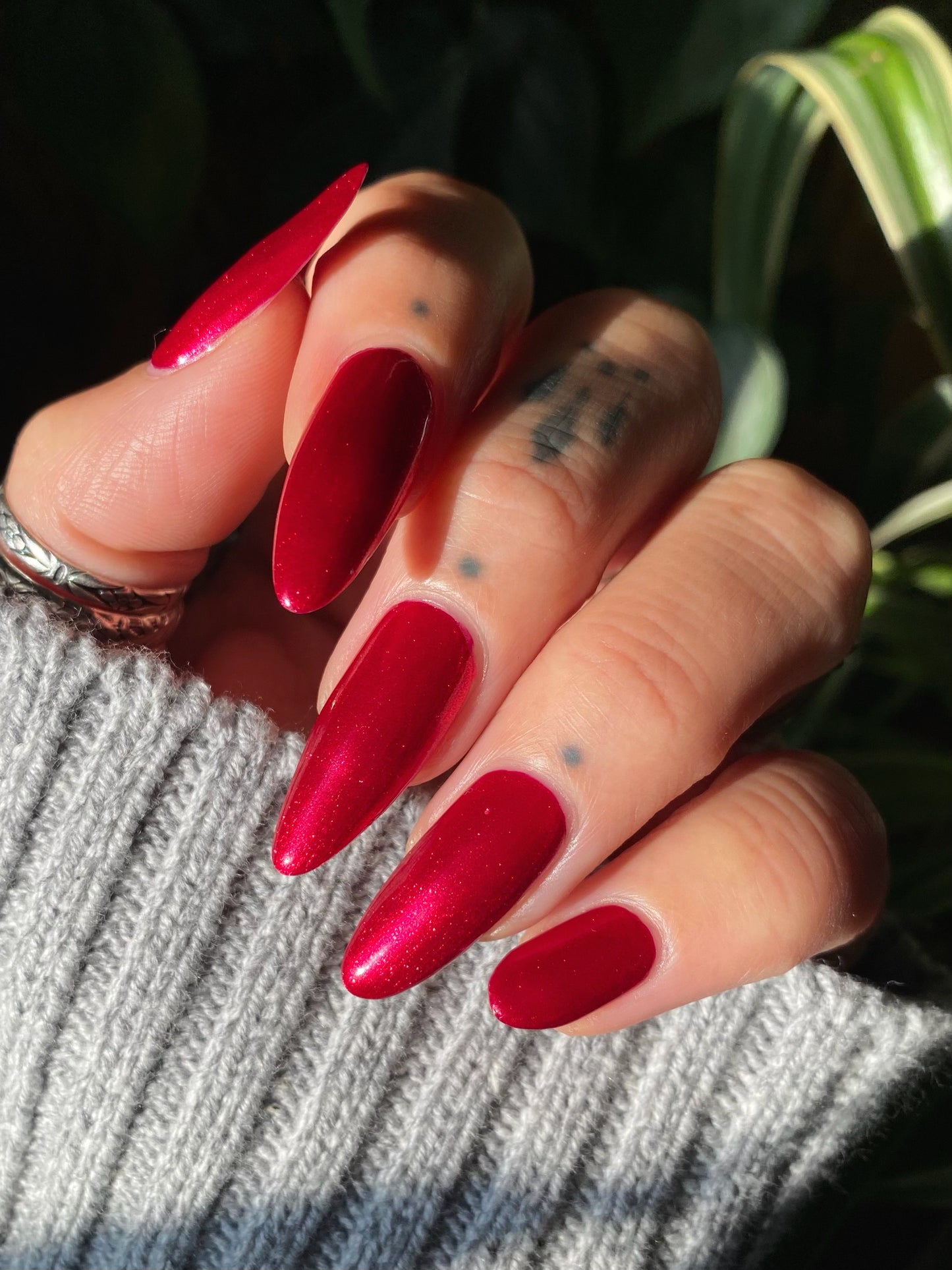 Protection Against Unreasonable Searches and Seizures