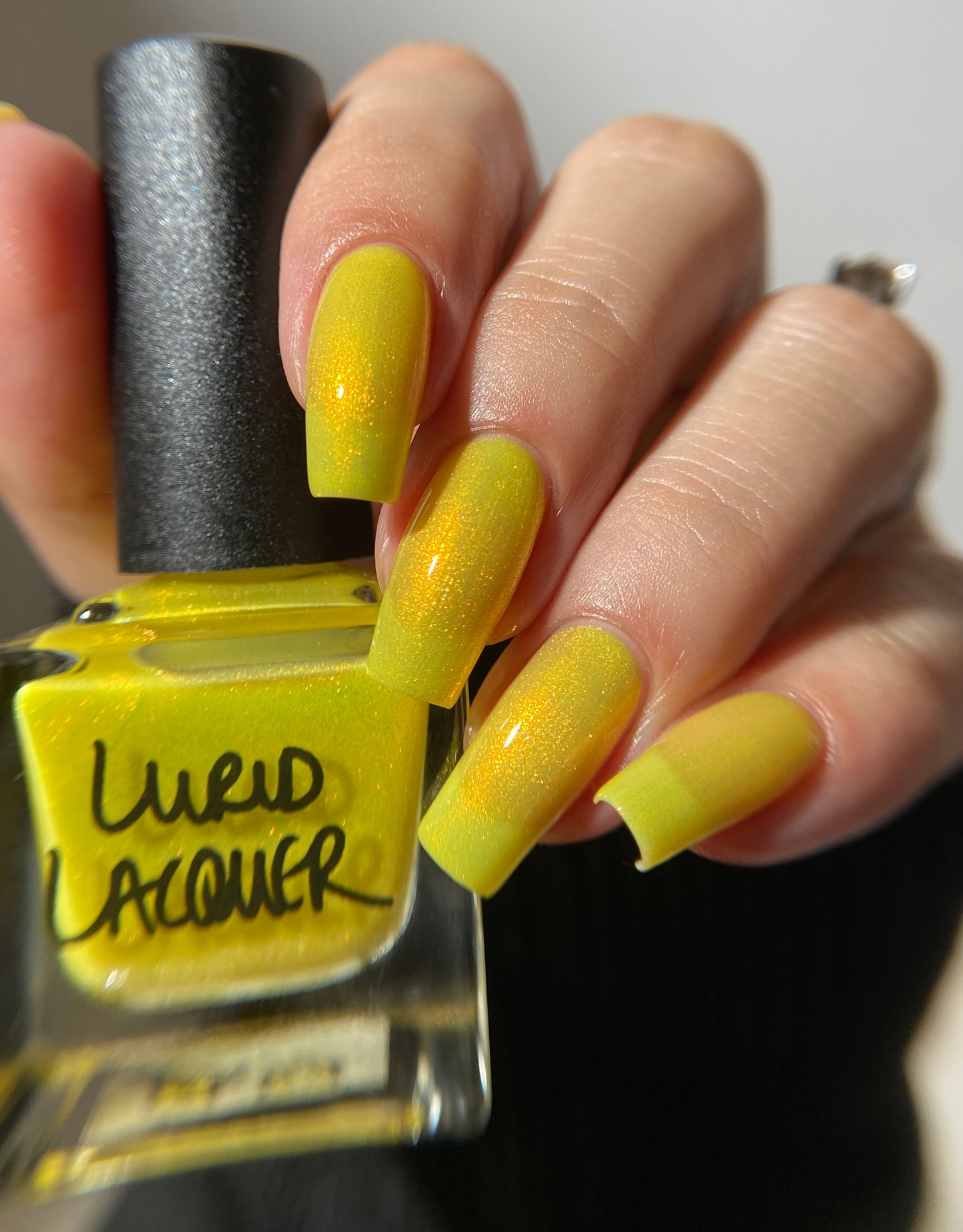 Yellow Coneflower (PBE Exclusive--Limtied Edition)